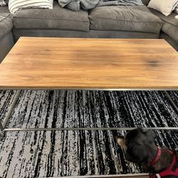 Crate and Barrell Coffee Table
