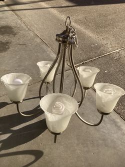 Chandelier/light fixture 