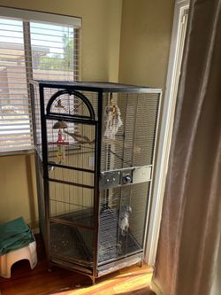 Parrot cage