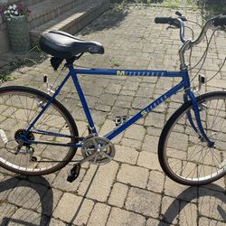24” Schwinn Bike