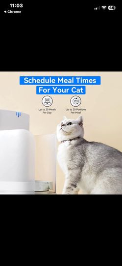 CATLINK Automatic Cat Feeder, Health Report for Cats, 3.5L Capacity App control 3 Available