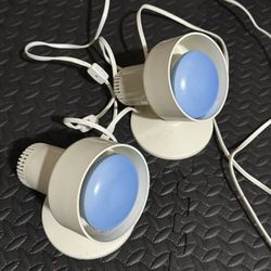 Plant Lights 