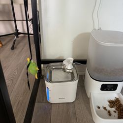 Cat Water Fountain