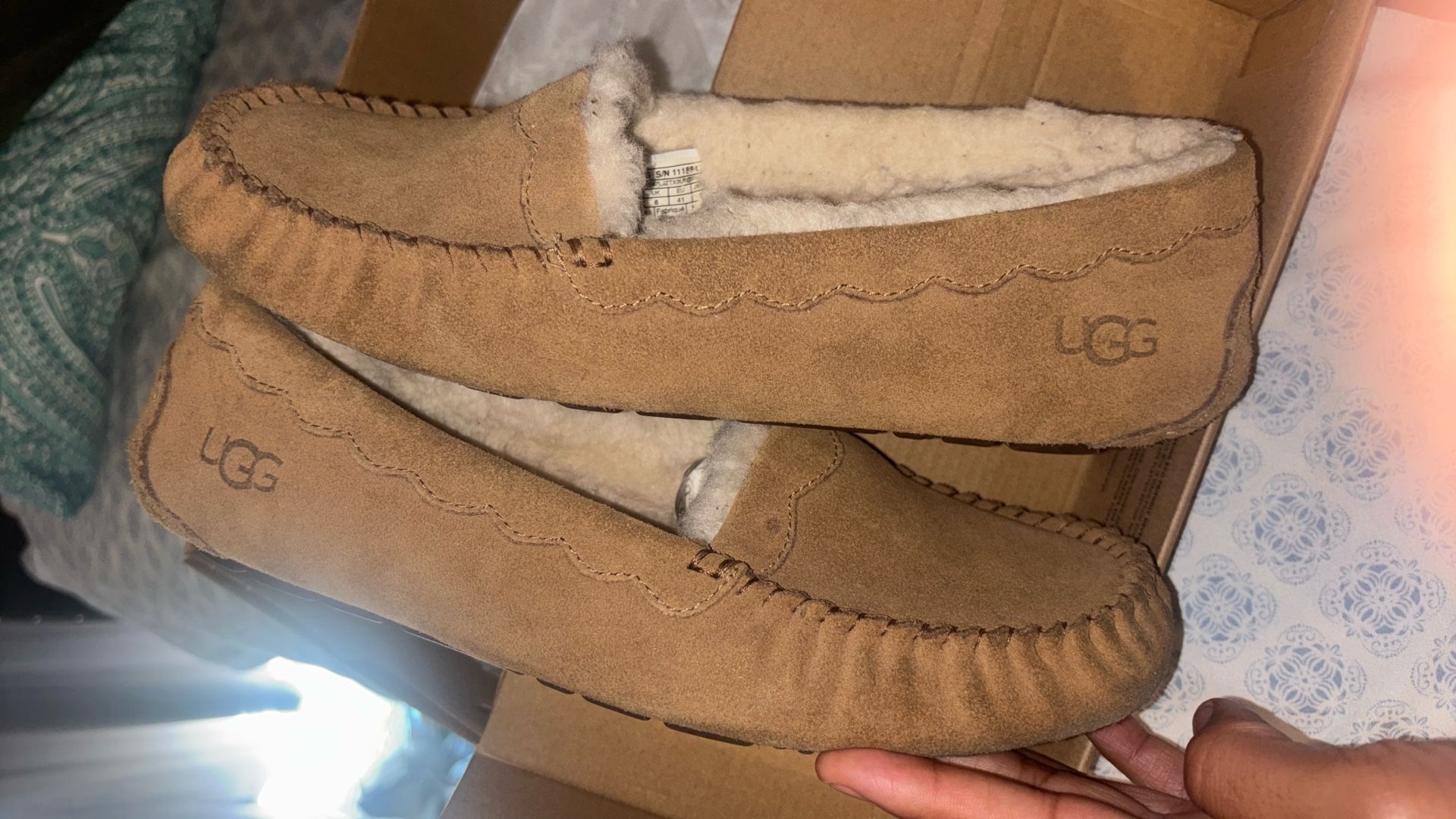 UGG Slippers 