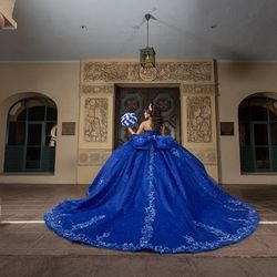 Quincenera Dress/Sweet 16 Dress