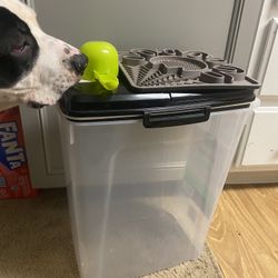 Dog Food Container, Slow Feeding Tray
