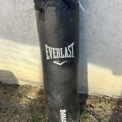 Everlast Bag