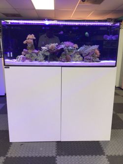 Auarium 65gallons