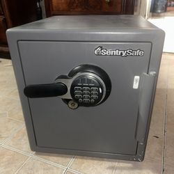 Sentry Safe