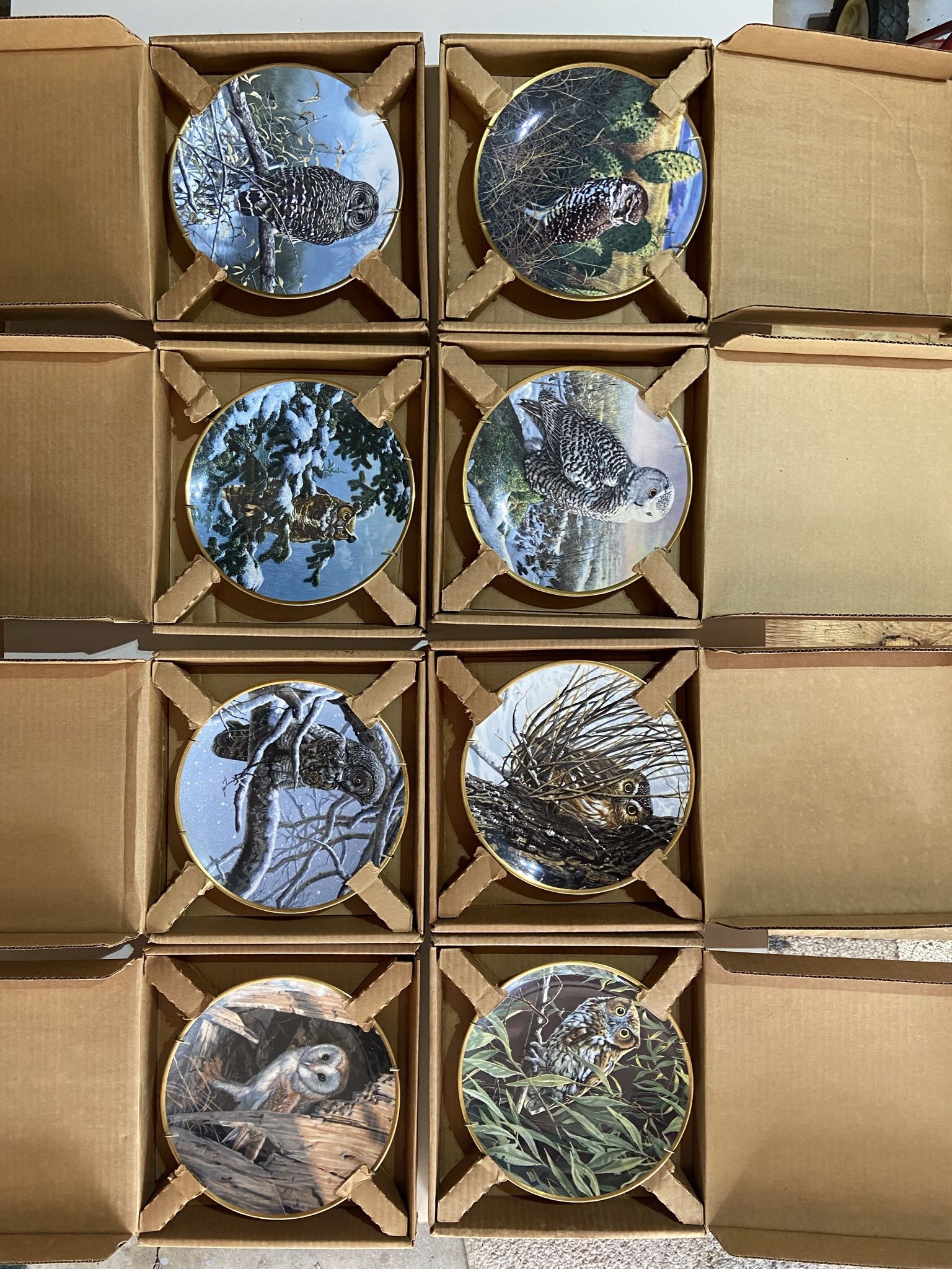 Hamilton Collection Owl Collector Plates With Plate Hangers