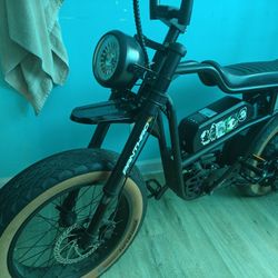 Panthro Electric Bike 