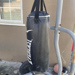 Everlast Punching Bag