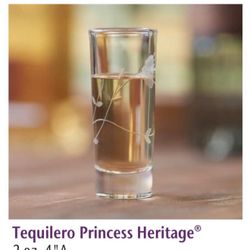 Set De (4) Tequileros Princess House 