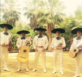 Vihuela mariachi trompeta