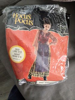 Hocus Pocus Anderson Sister Costume For Kids