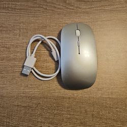 Wireless Mouse (Rechargeable)