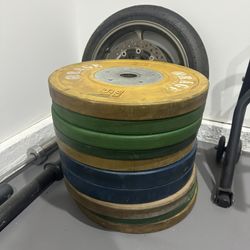 Competition Bumper Plates in KG
