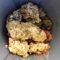 Saltwater Rocks 