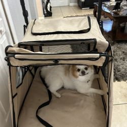 Coche Para Perros Grande 