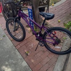 Schwinn  24" Woman's  Bike 