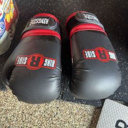 Ringside Youth Gloves