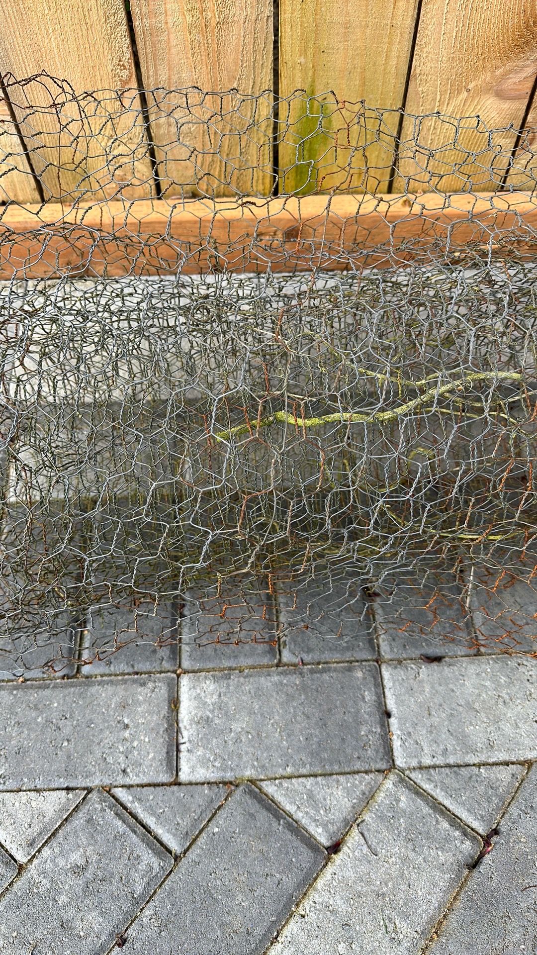 roll of 2 foot wide chicken wire free