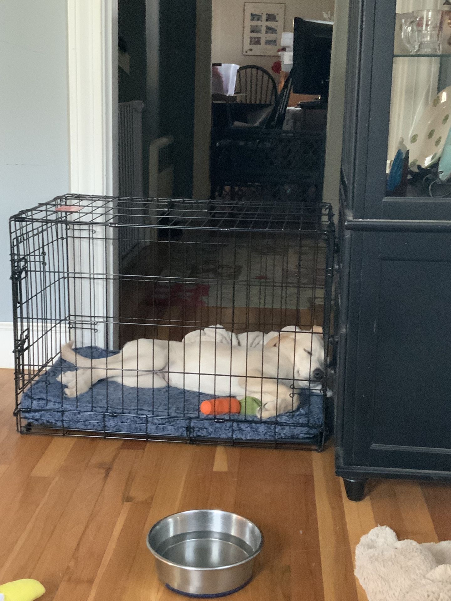 32 Inch Dog Crate. Dog Not Included!! 😊