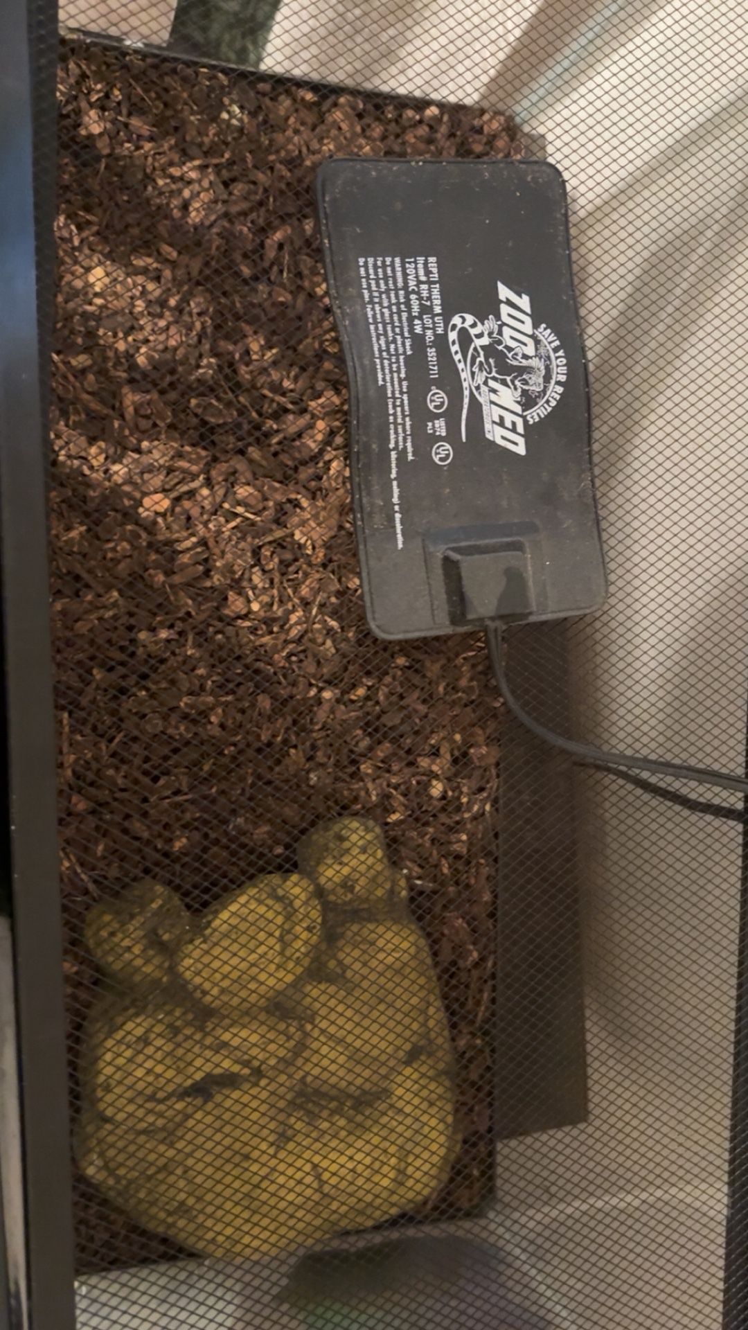 Reptile Tank