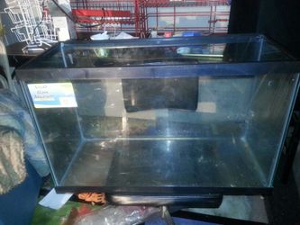 29 gallon rectangular glass aquarium