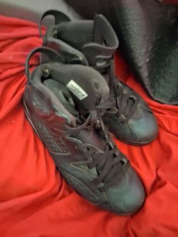 Jordan Chameleon's