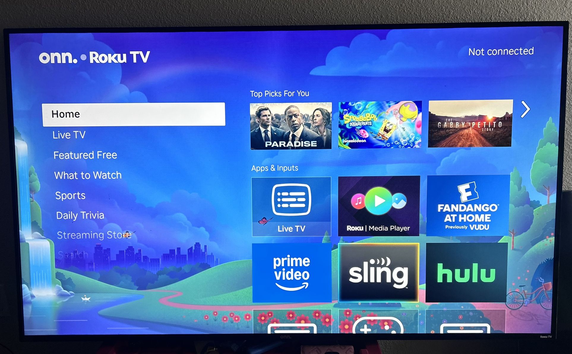 Brand New 65 Inch Roku TV $250