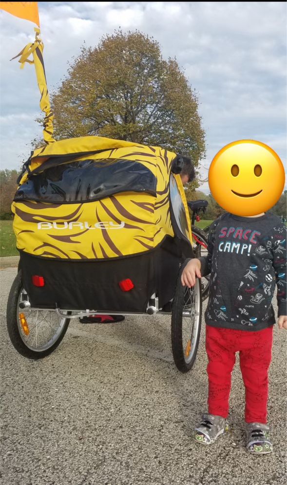 Burley Bicycle Trailer Tiger