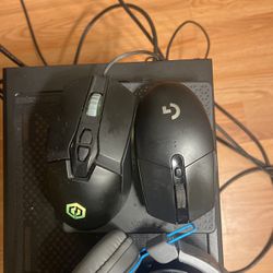 Two Mouse’s 