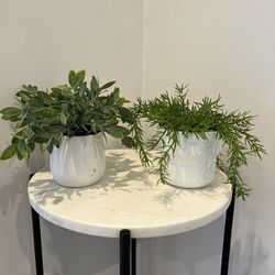 Set Of 2  Small Fake Plants