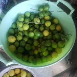 Limon Tequilero Recien Cortados 10 X1 Dolar