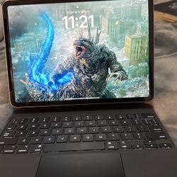 iPad Pro 11 Inch 4th Gen 256 GB 