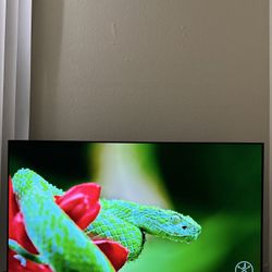 55” SONY BRAVIA 4K