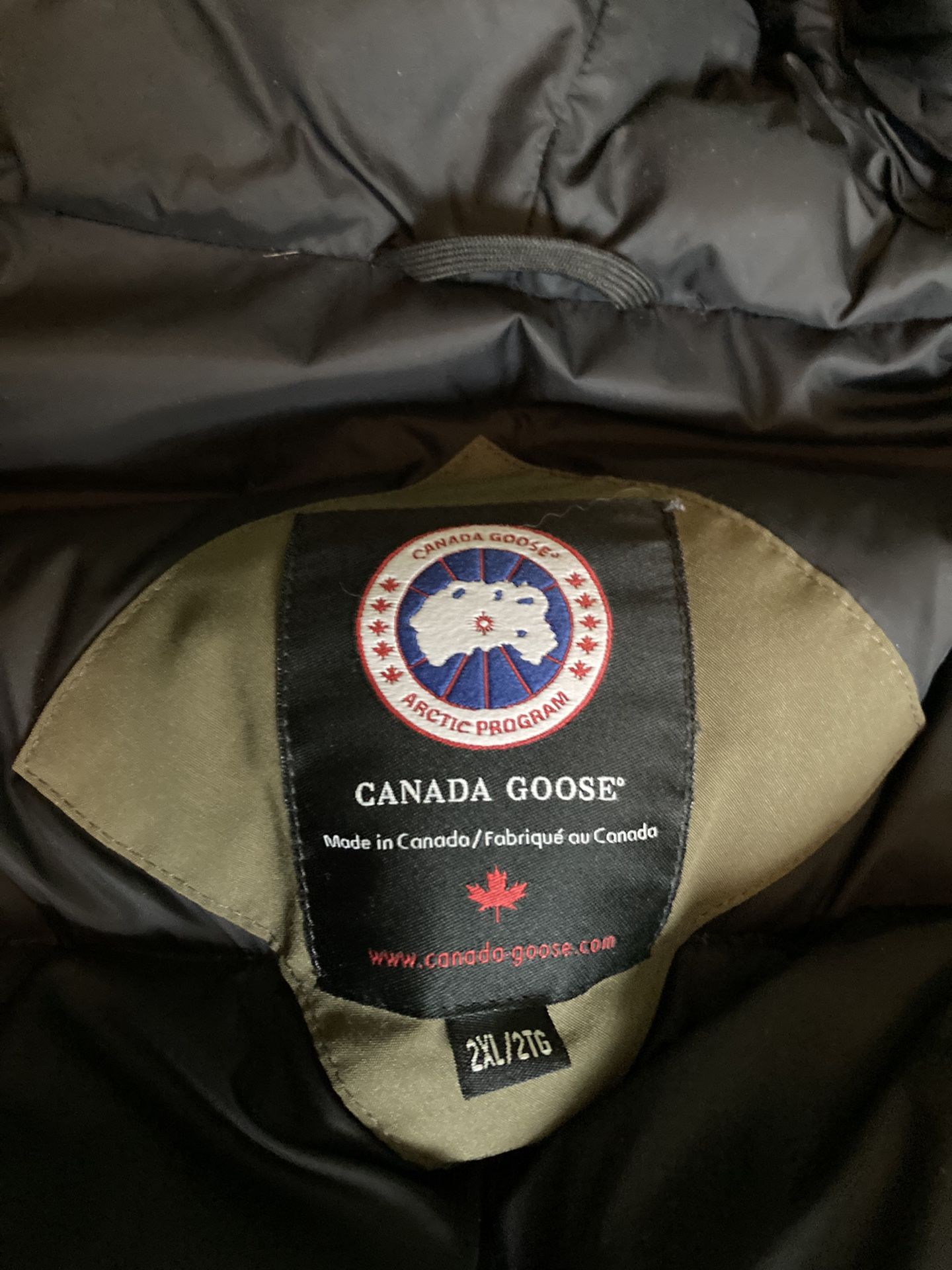 Canada Goose