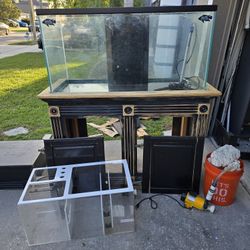 100 Gallon Fish Tank Fixer Upper