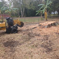 Stump Removal