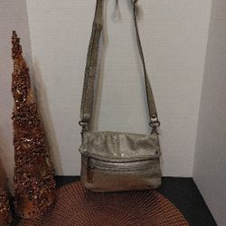 Tignanello Metallic Silver Crossbody