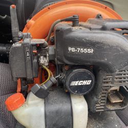 Echo Backpack Blower