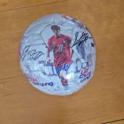 Korean National Soccer Ball