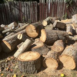 Freshly Cut Oak Firewood Logs