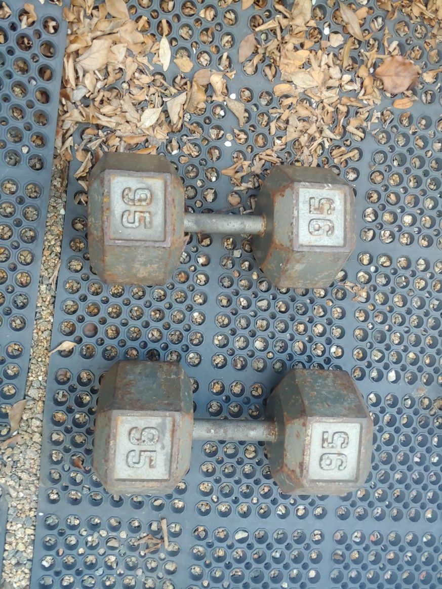 Dumbells 95 Pounds