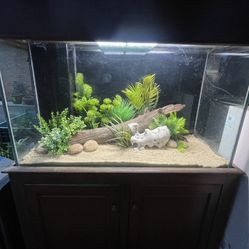 100 Gallon Fish Tank