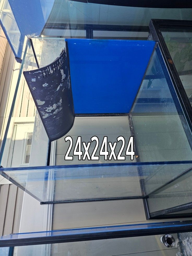 60 Gal Reef Ready Cube Fish Tank 