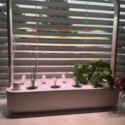 Click & Grow Smart Garden 9