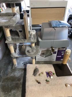 Kitty Starter Kit