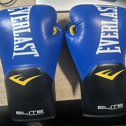 Everlast Boxing Gloves With Wraps And Mouthguard 
